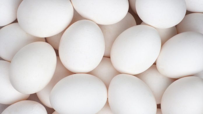 white-eggs-generic.jpg