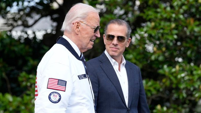 1b0306a3-hunter-biden.jpg