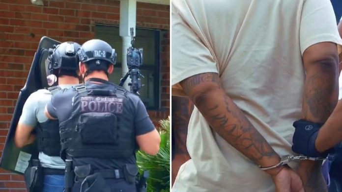 nola-arrest.jpg