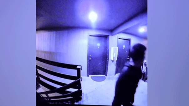 tda.gif